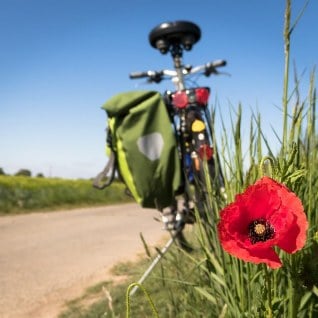 pasy transportowe do wozkow inwalidzkich